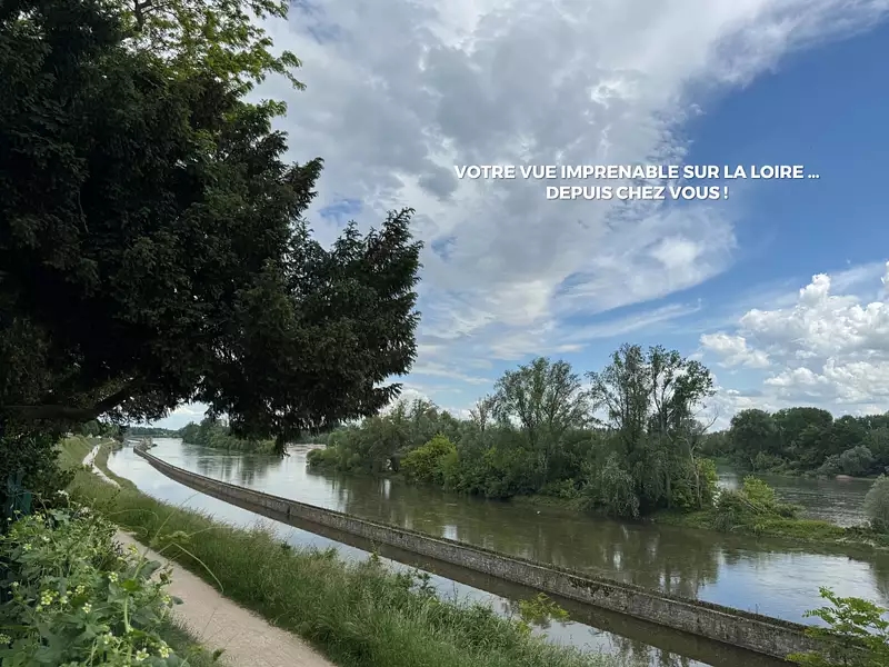 pépite de loire