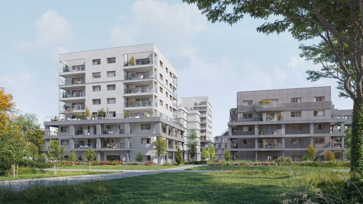 FLÂNERIE SAINT-MARTIN