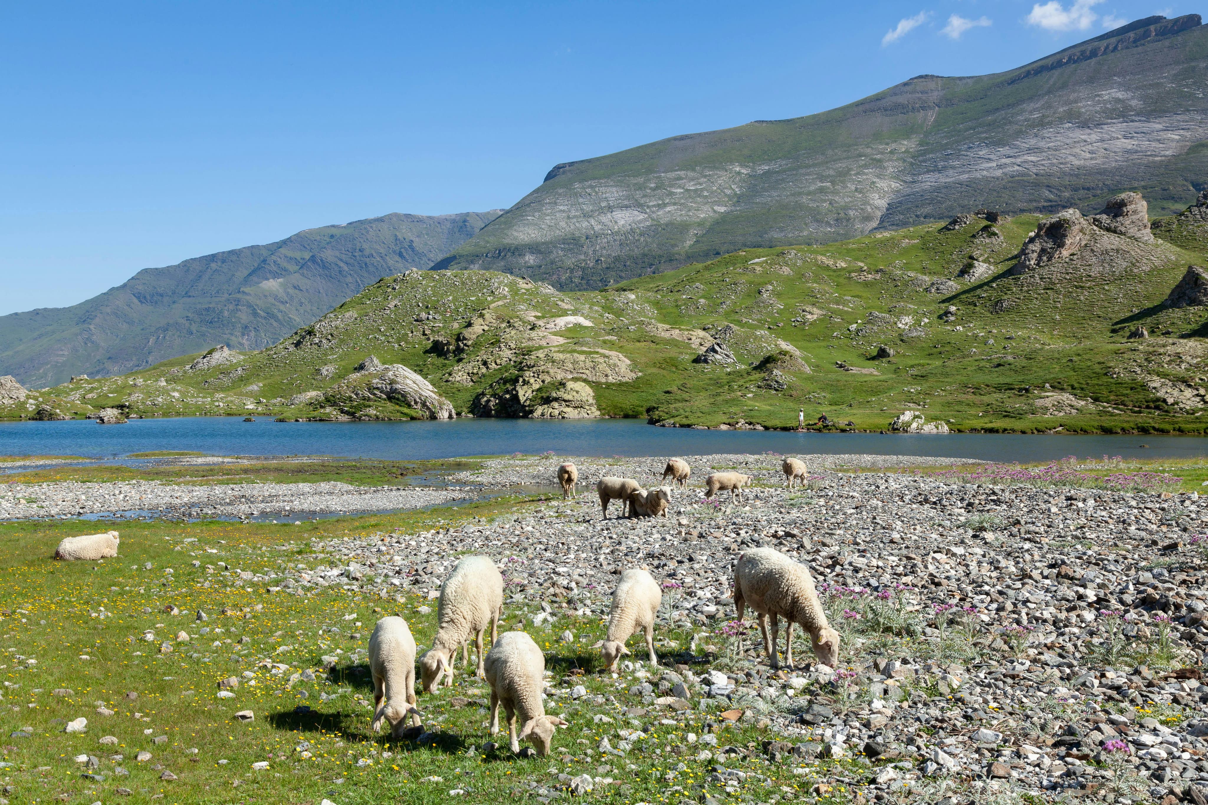 Photo du département de l'Ariège.