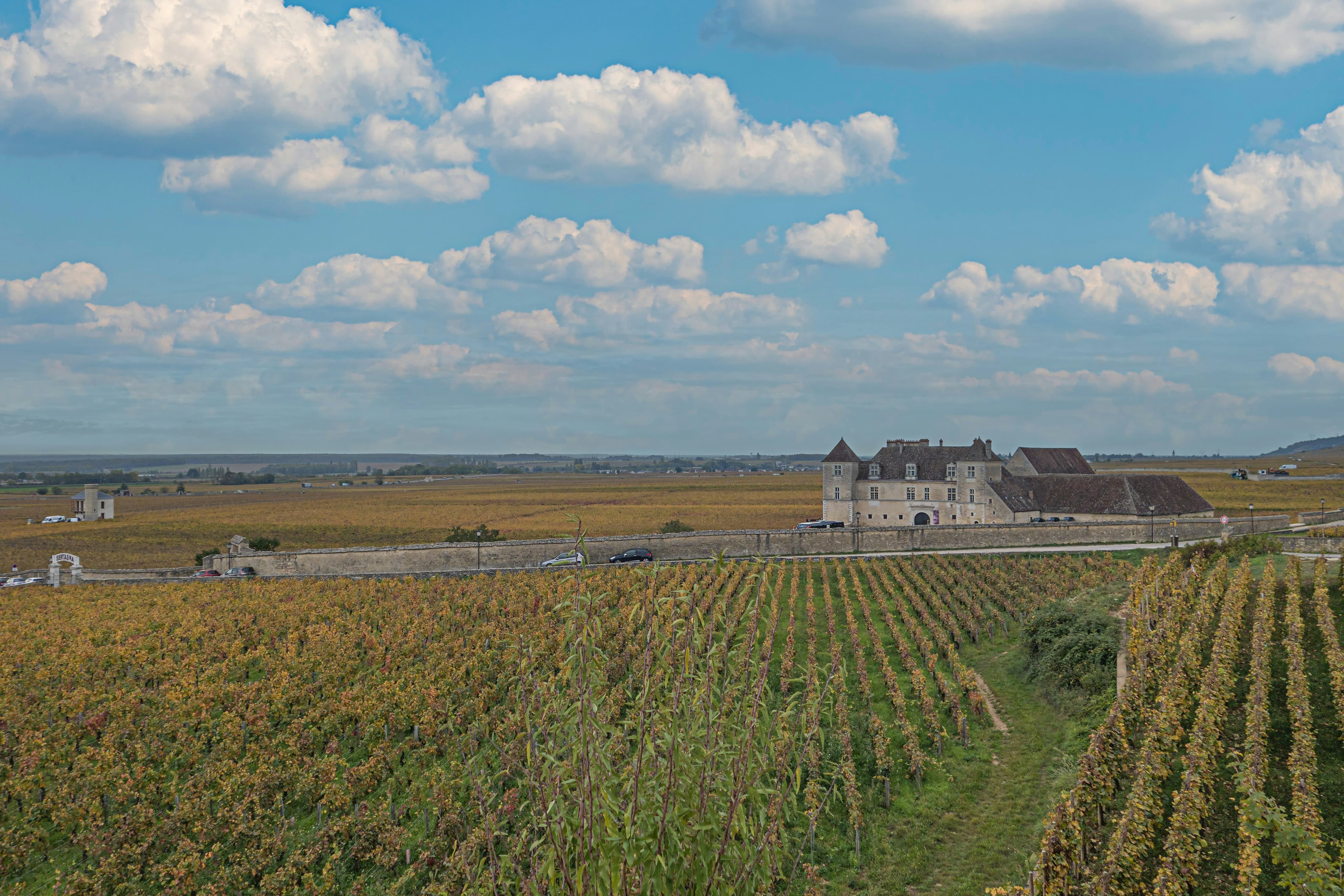 Photo du département de la Côte-d'Or.