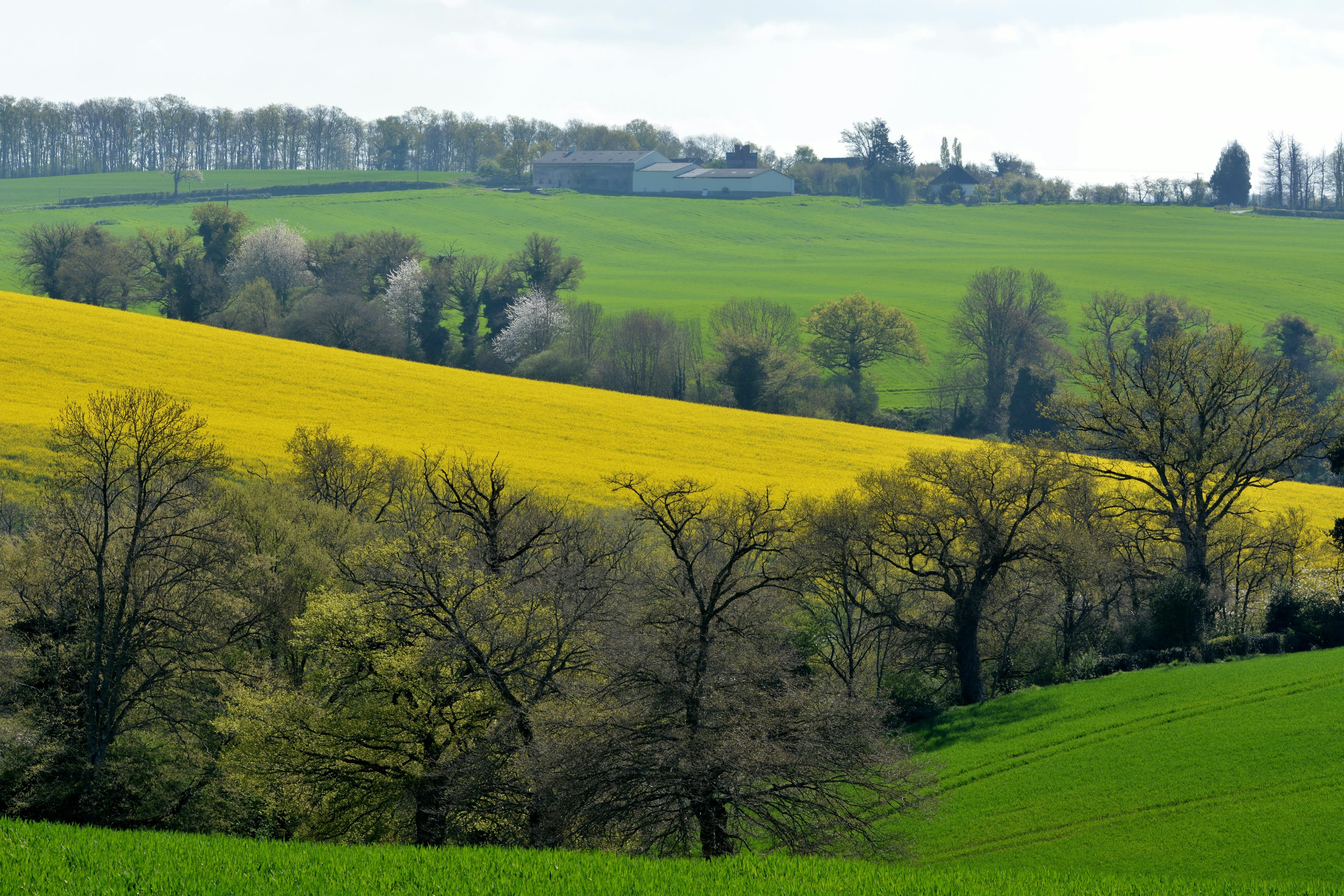 Photo du département de la Creuse.