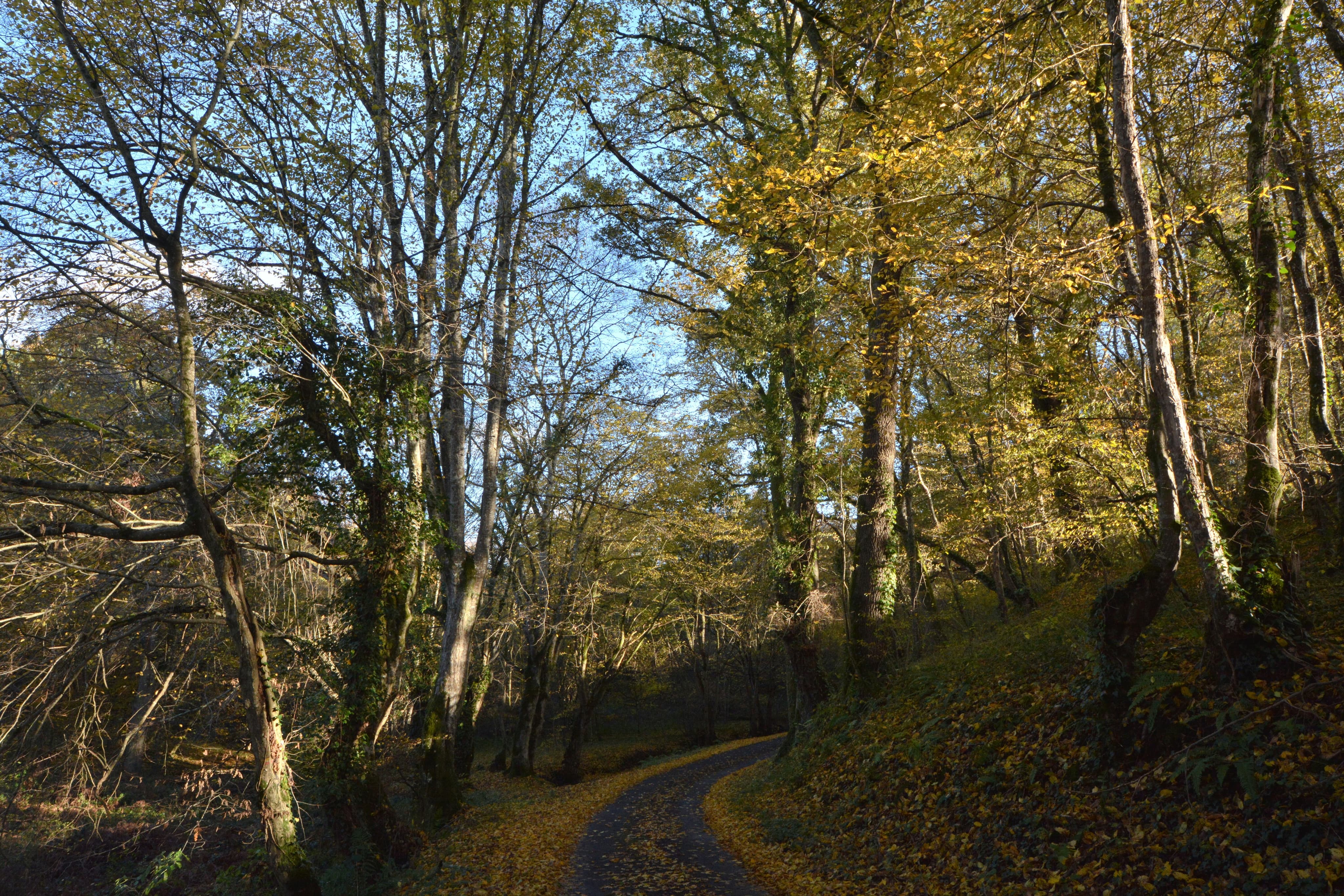 Photo du département de l'Indre.