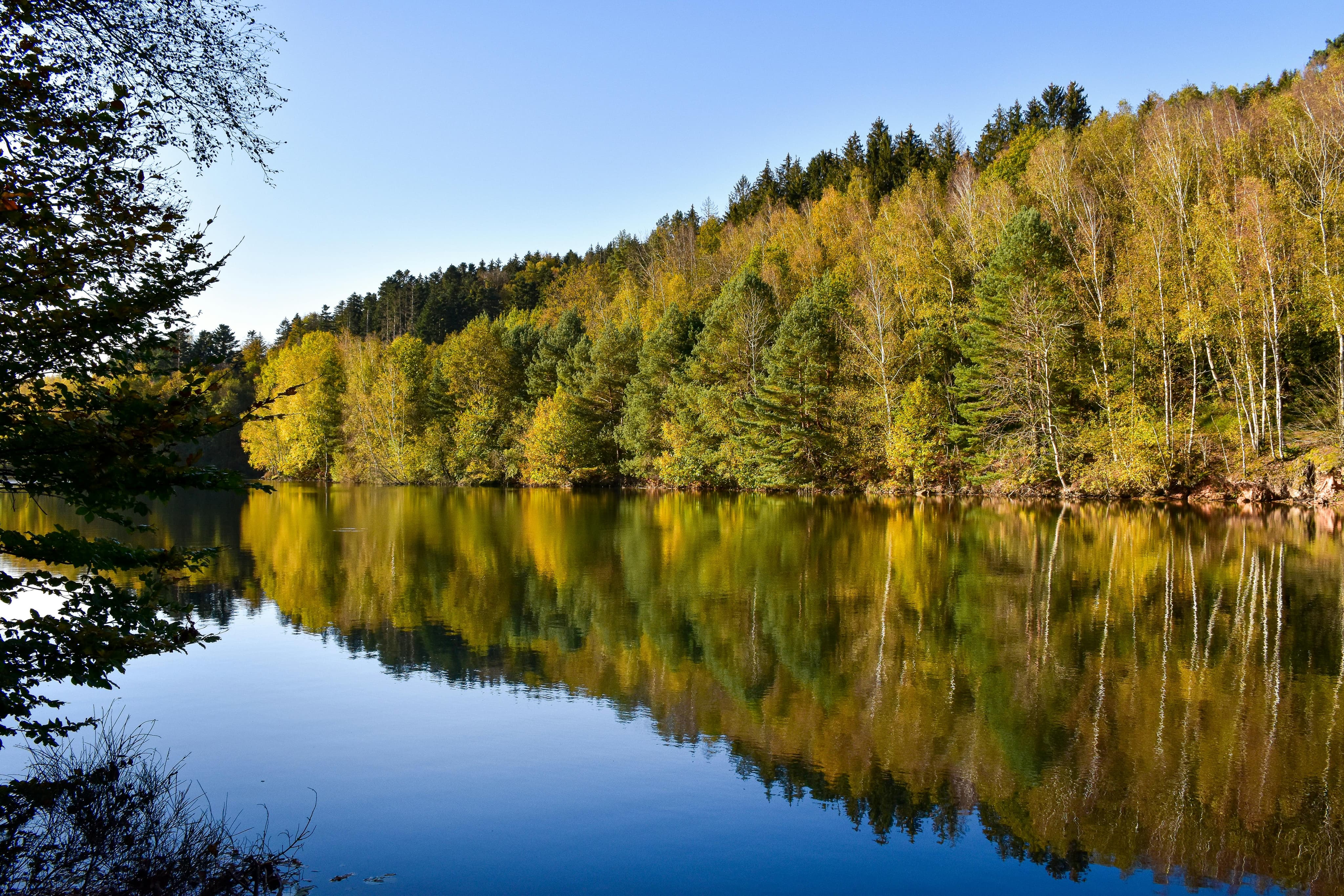 Photo du département des Vosges.