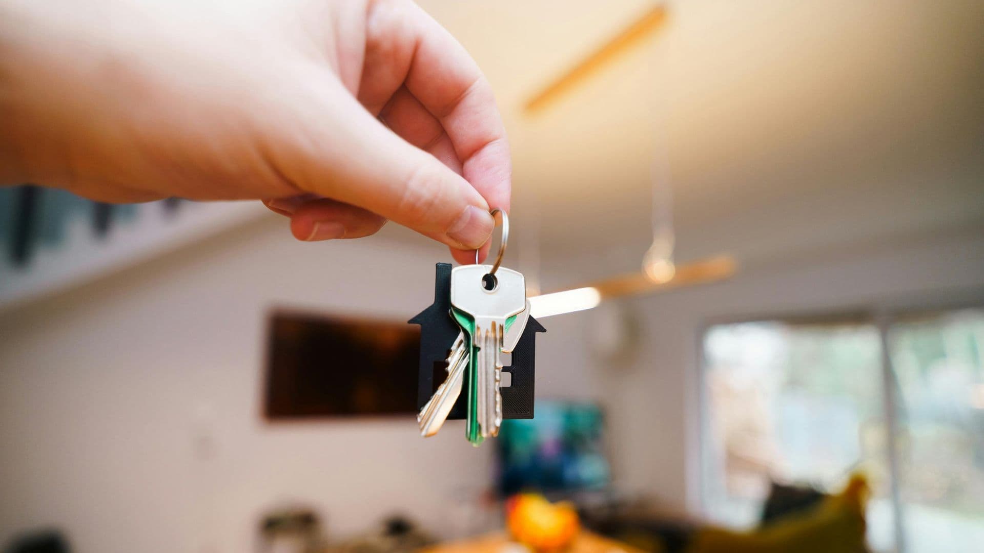 investissement locatif