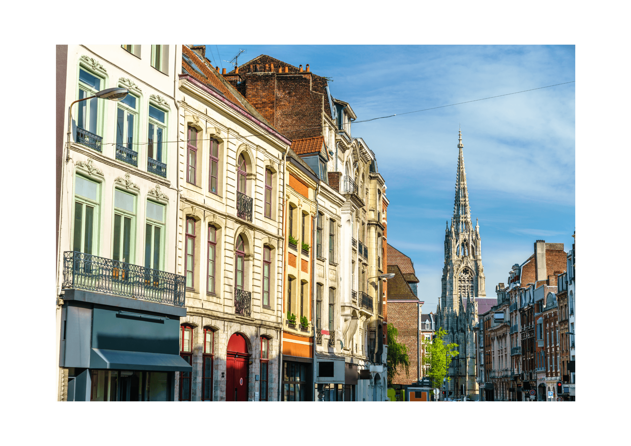 rénovation immobilier neuf