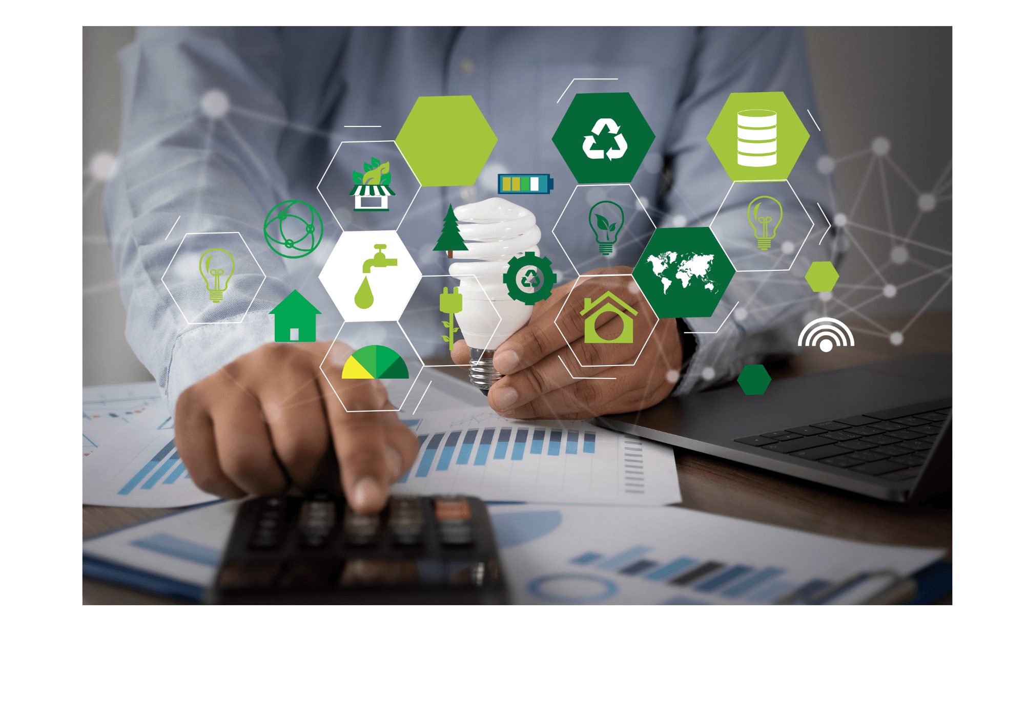 jardin durable immobilier neuf