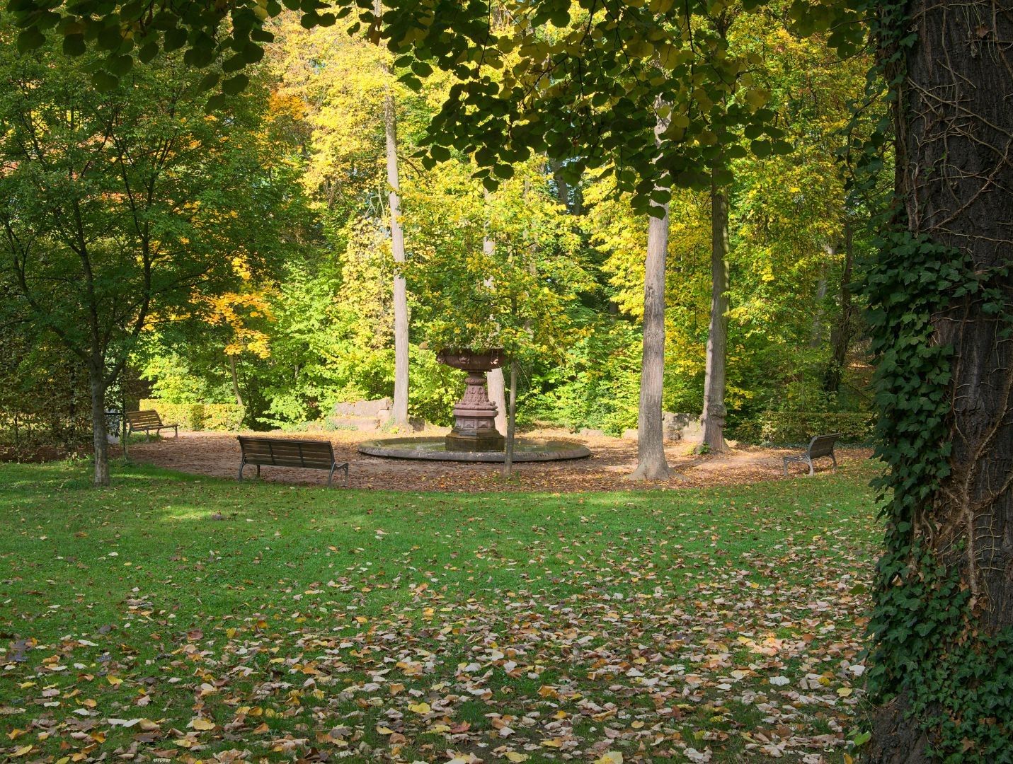 Parc de l'Orangerie à Strasbourg