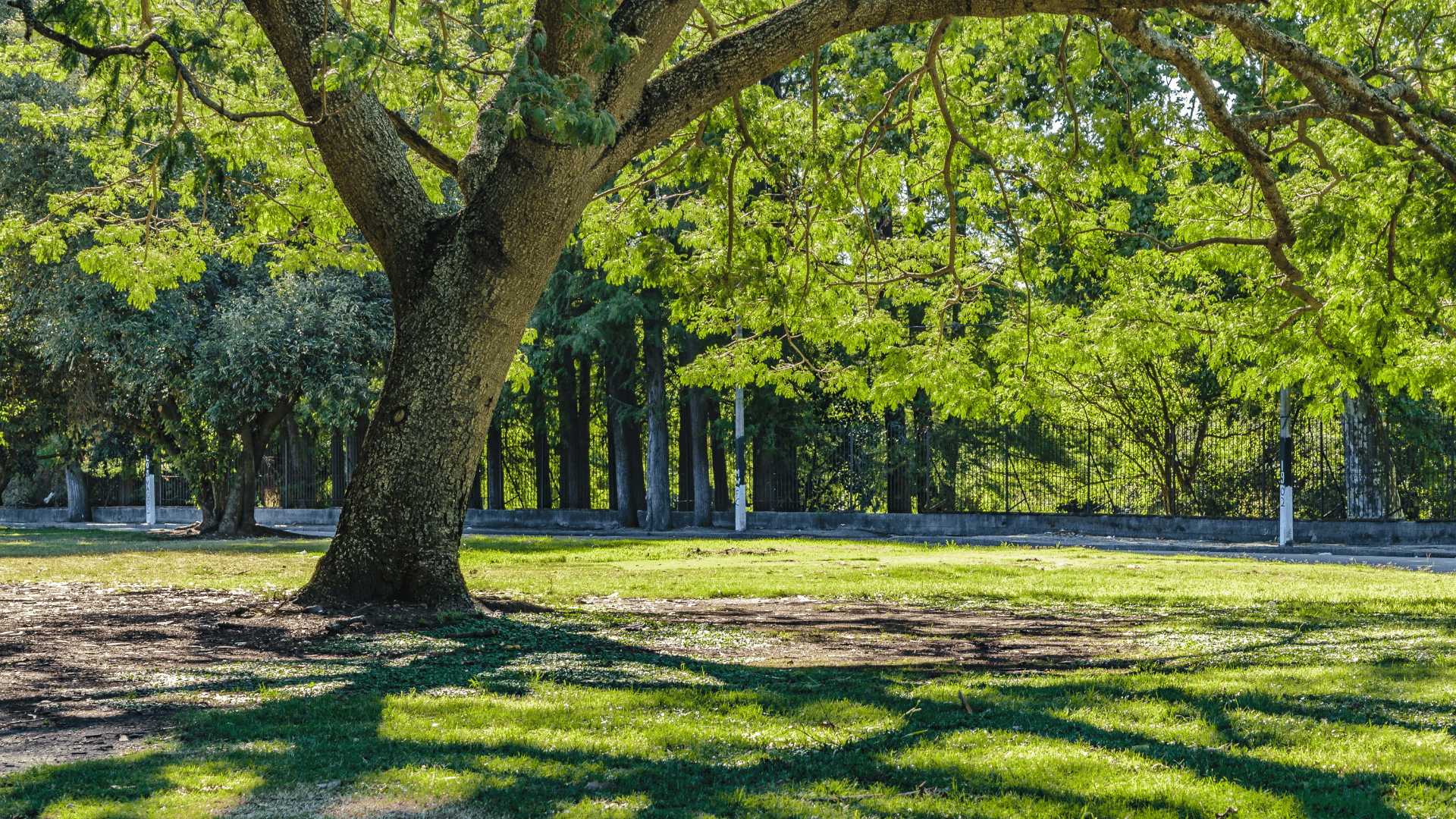parc