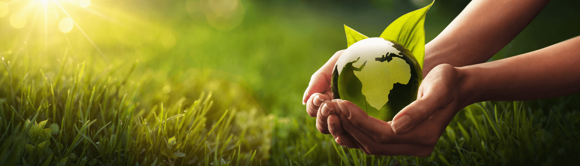 environnement