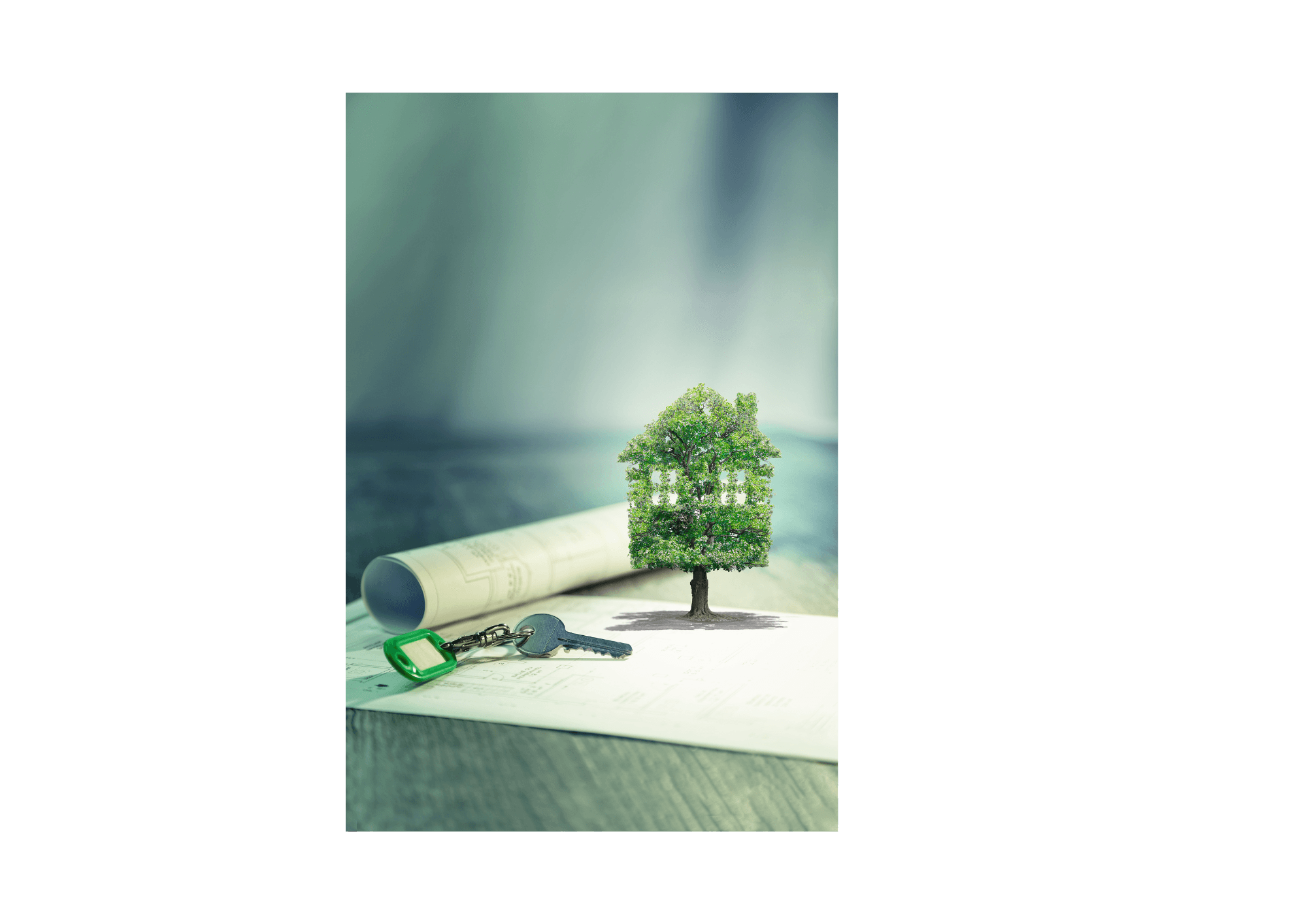 un_logement_aux_normes_et_econome_en_energie_content_image.png