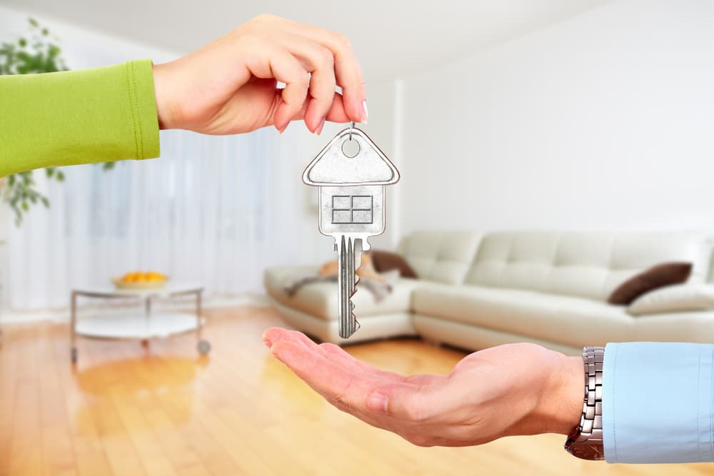 investir-en-tant-que-lmp-ou-loueur-en-meuble-professionnel-le-guide-complet.jpg investir-en-tant-que-lmp-ou-loueur-en-meuble-professionnel-le-guide-complet.jpg