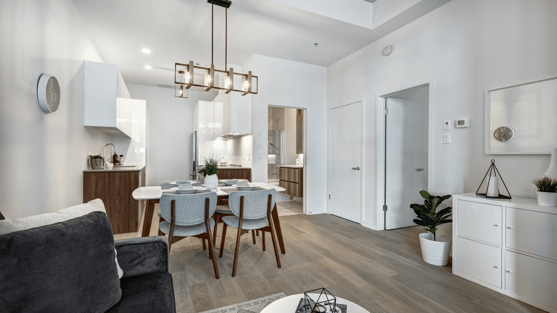 appartement neuf