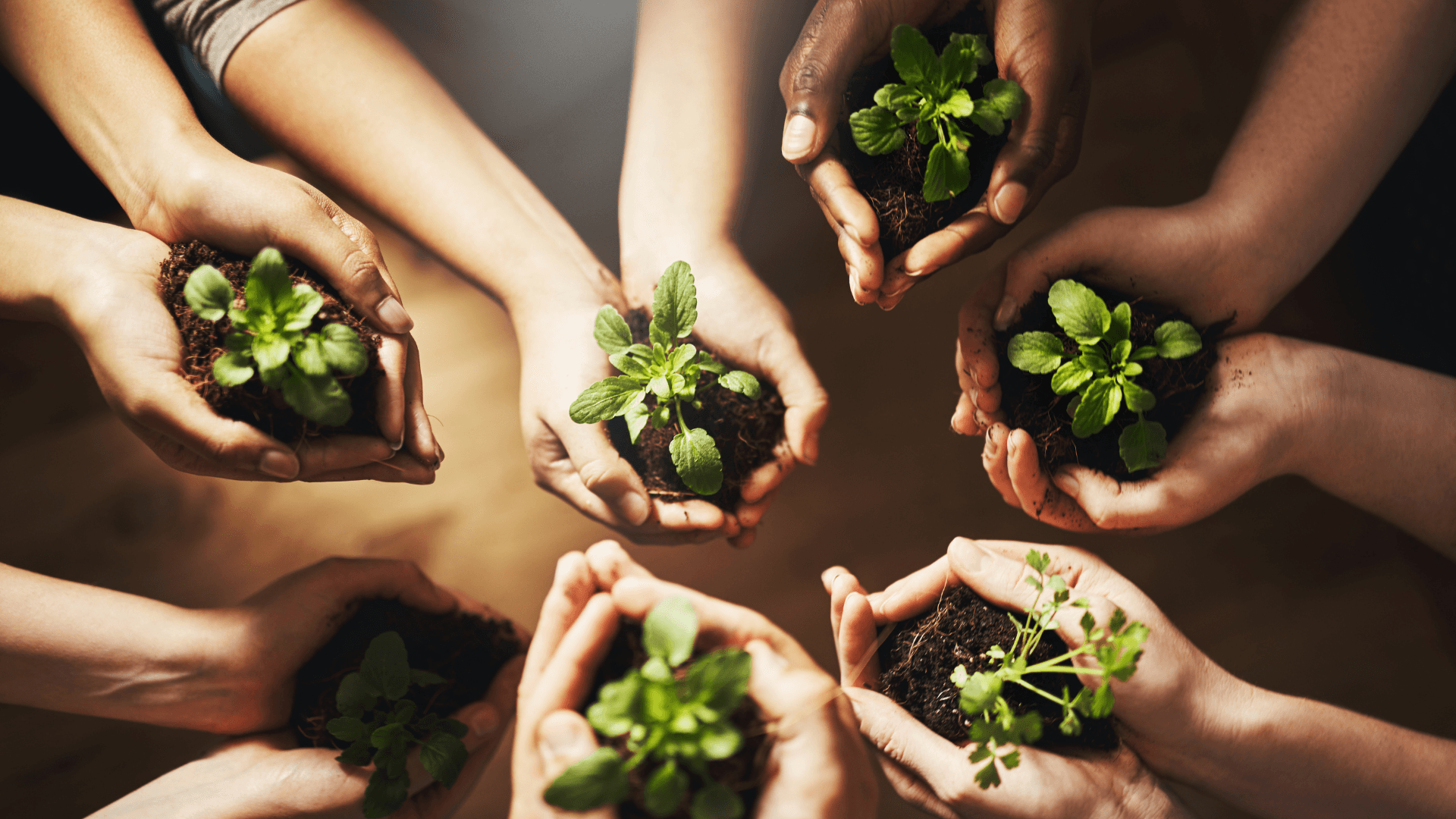 un_environnement_durable_et_respectueux_de_l_environnement_content_image.png