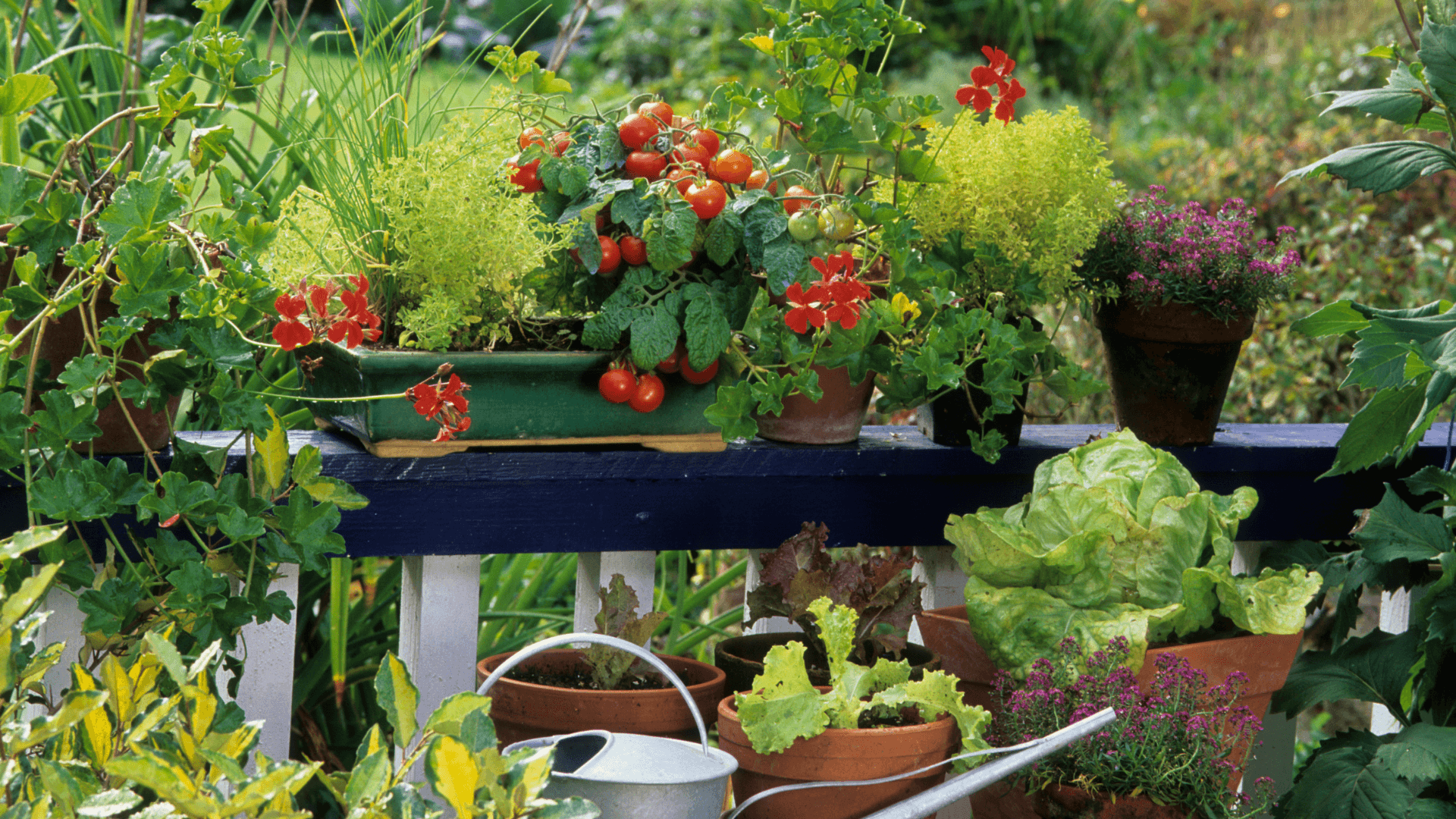 amenager_un_mini_jardin_content_image.png