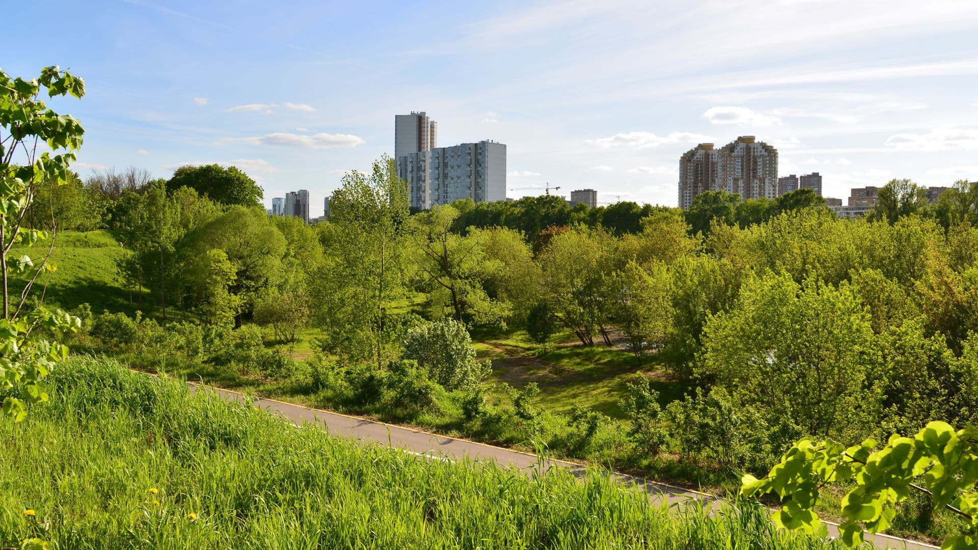 l_impact_des_ecoquartiers_sur_la_valeur_immobiliere_content_image.jpg