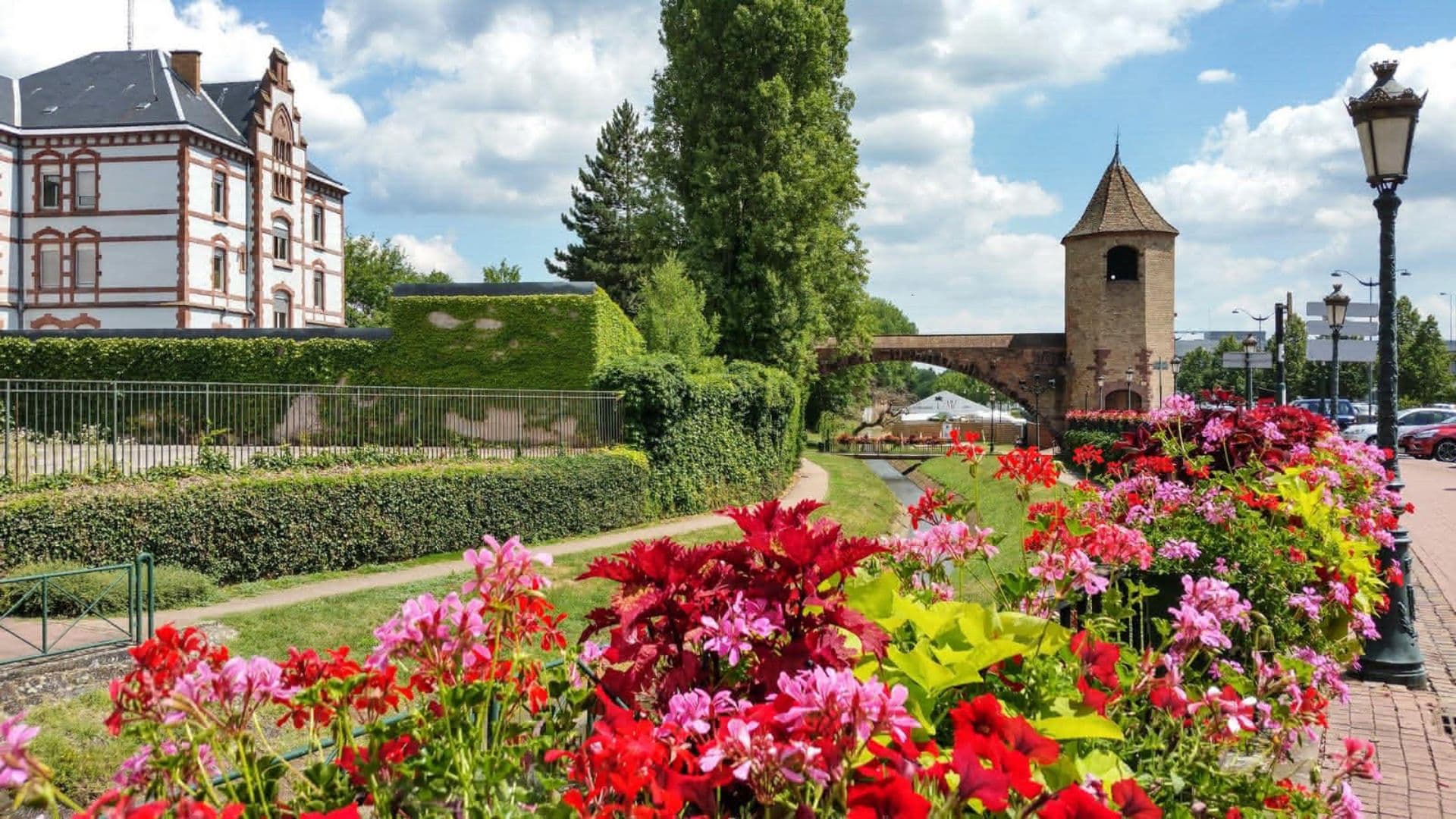 haguenau_une_ville_entre_nature_et_dynamisme_content_image.jpg
