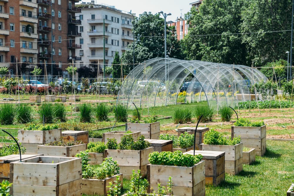 3_rennes_leader_de_l_agriculture_urbaine_et_de_la_biodiversite_content_image.jpg