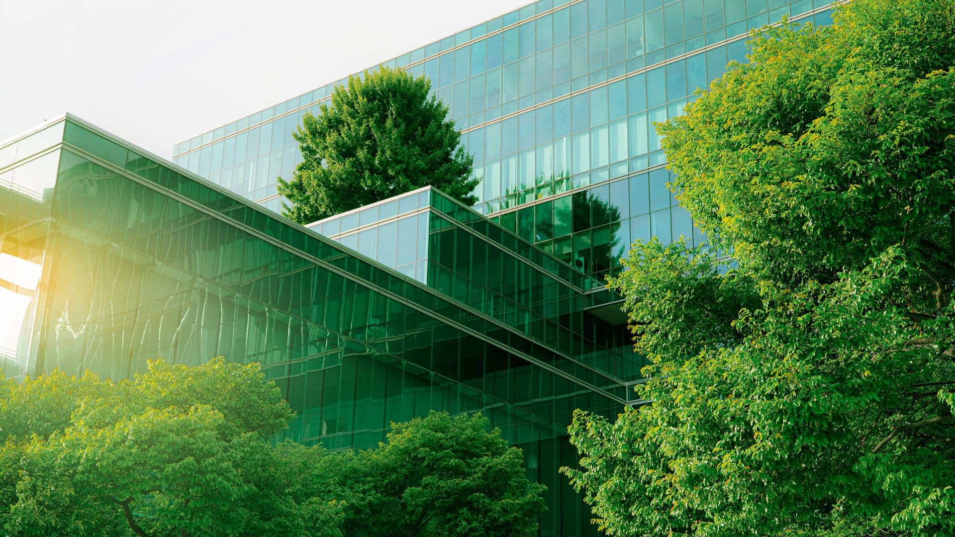 opportunites_dans_l_immobilier_neuf_profitez_des_nouvelles_normes_environnementales_re_2020_image.jpg