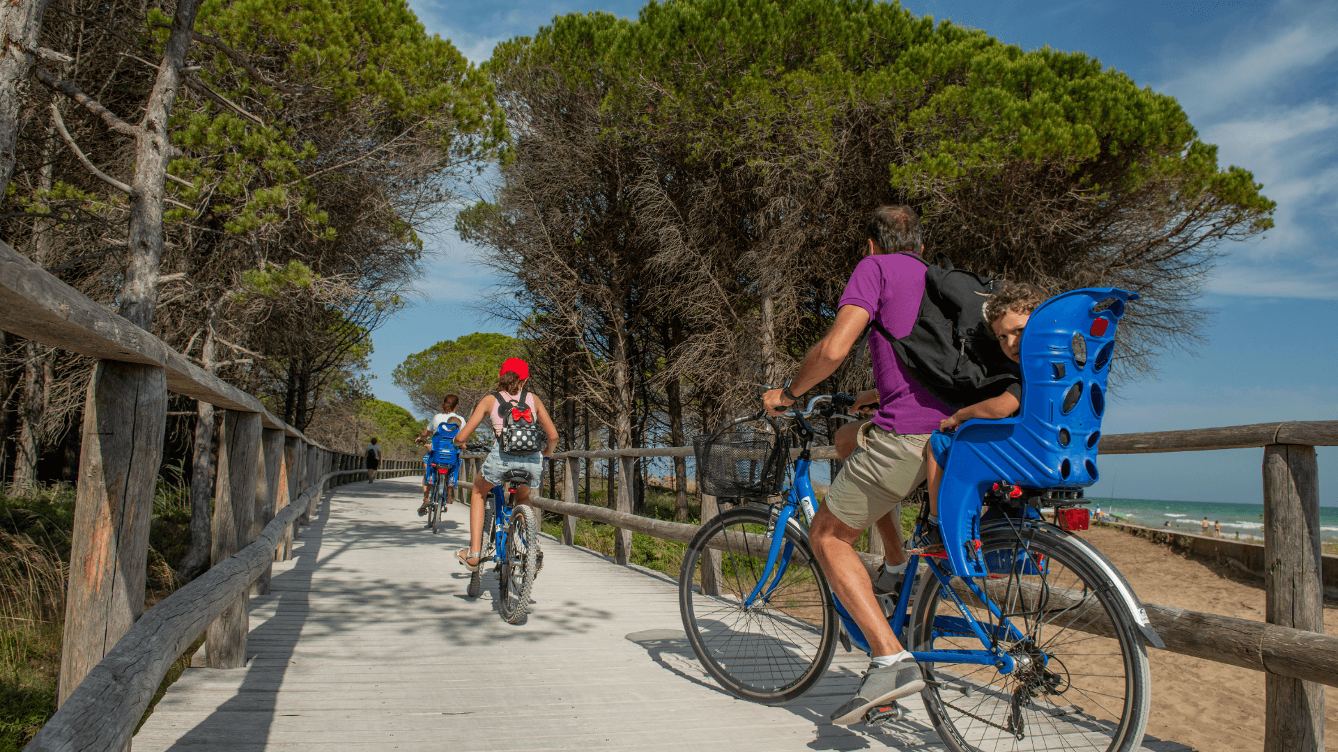 la_montee_en_puissance_du_velo_et_de_la_marche_content_image.png