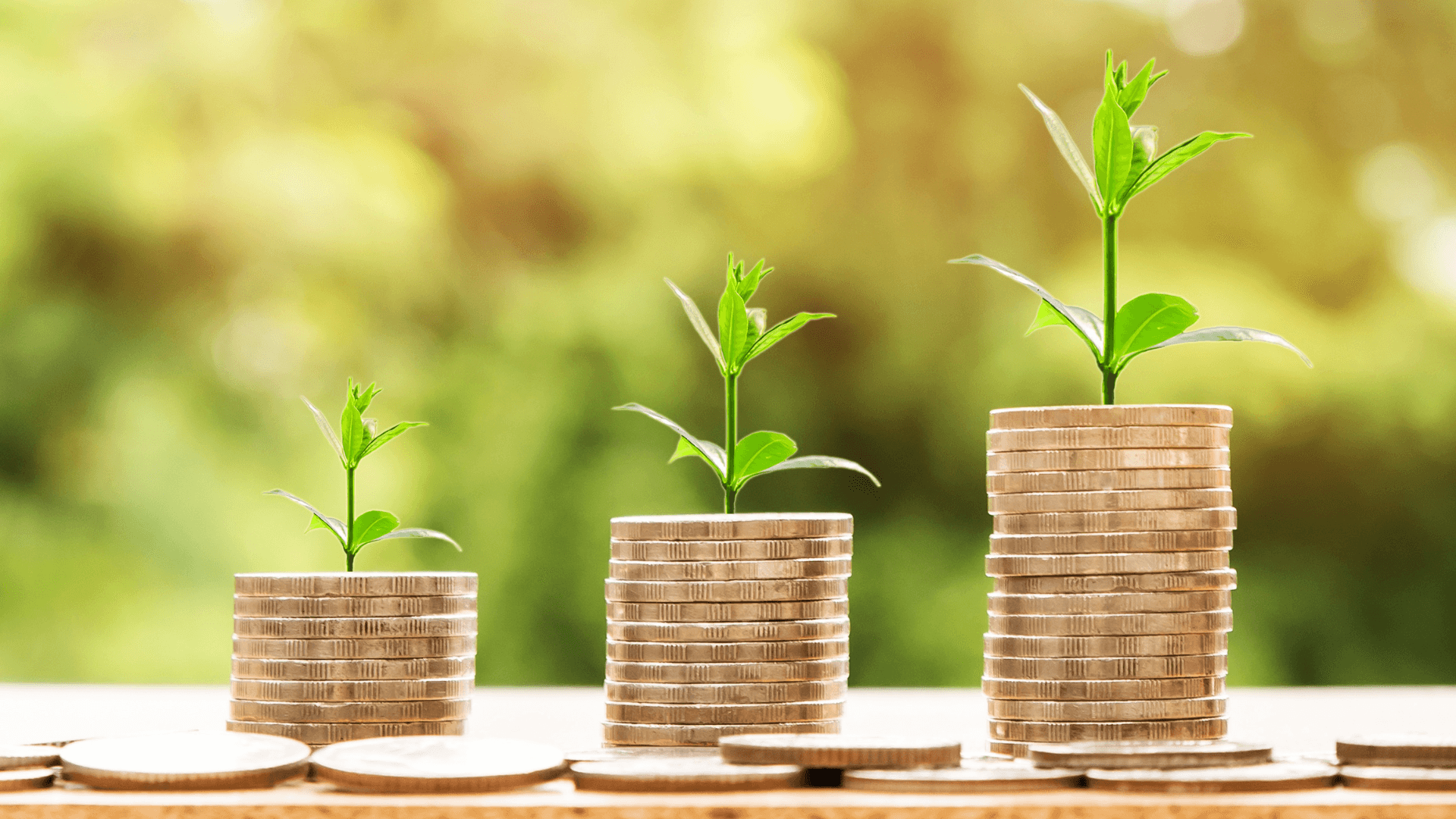 une_accessibilite_financiere_avec_un_haut_potentiel_de_rendement_content_image.png
