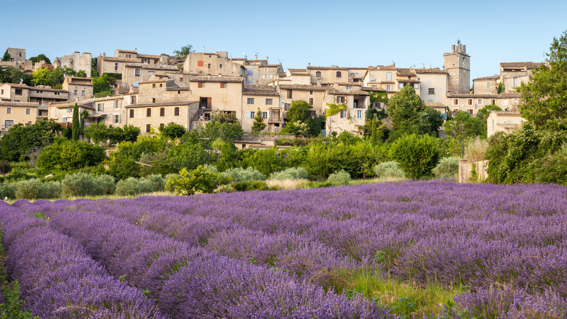 vivre_en_ville_ou_vivre_a_la_campagne_le_choix_du_mode_de_vie_ideal_image.png
