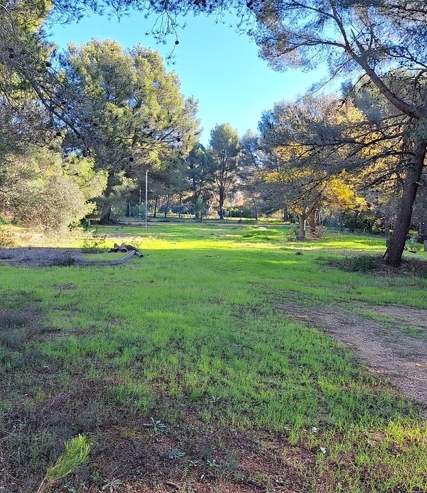 Domaine des Oliviers, La Cadière