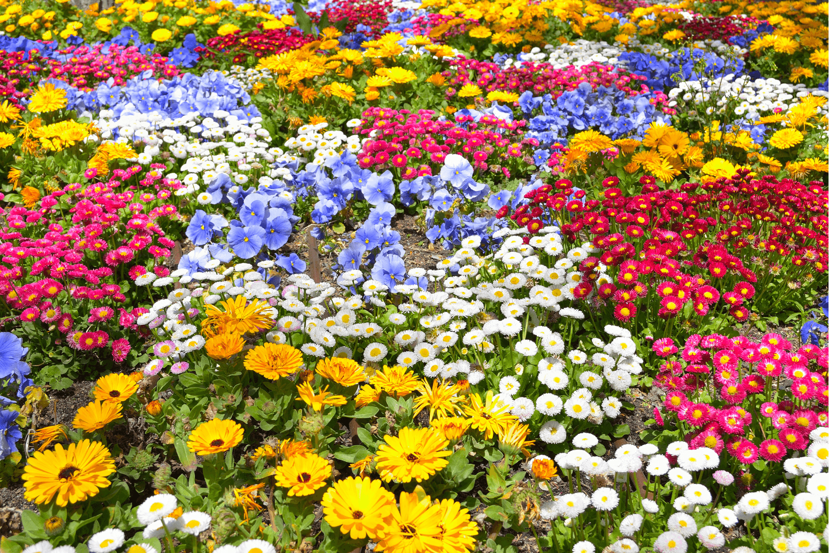 choisir_les_vegetaux_adaptes_a_votre_jardin_content_image.png