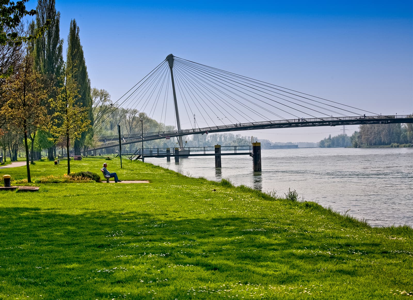 strasbourg_et_le_projet_deux_rives_ou_l_envergure_de_l_amitie_franco_allemande_image.jpg