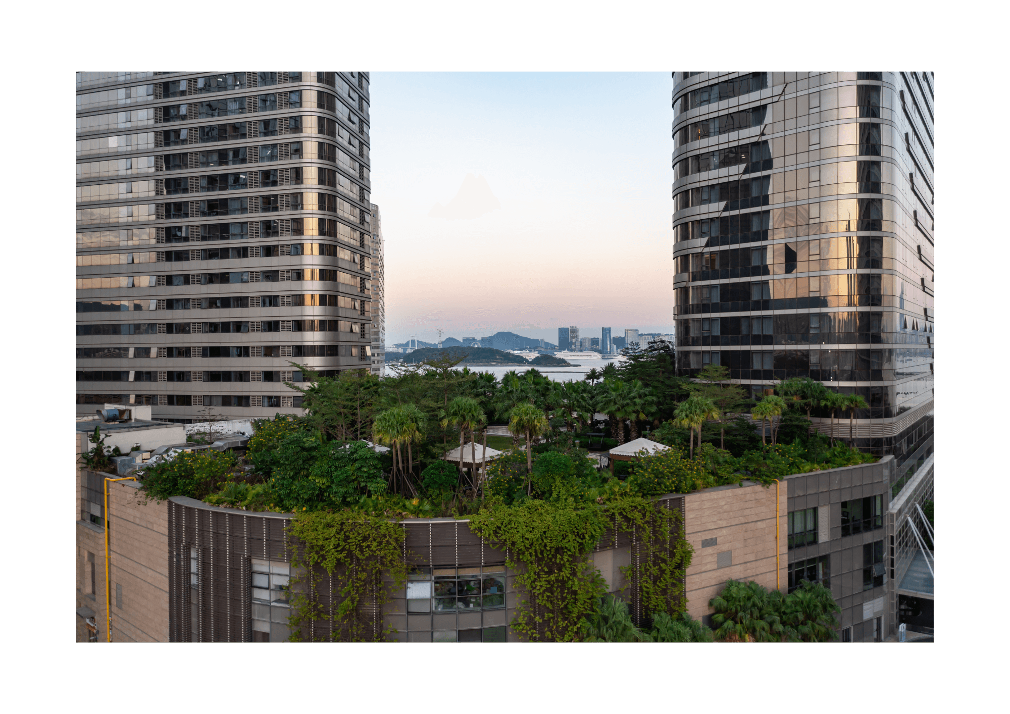 jardins_sur_le_toit_et_terrasses_vegetalisees_content_image.png