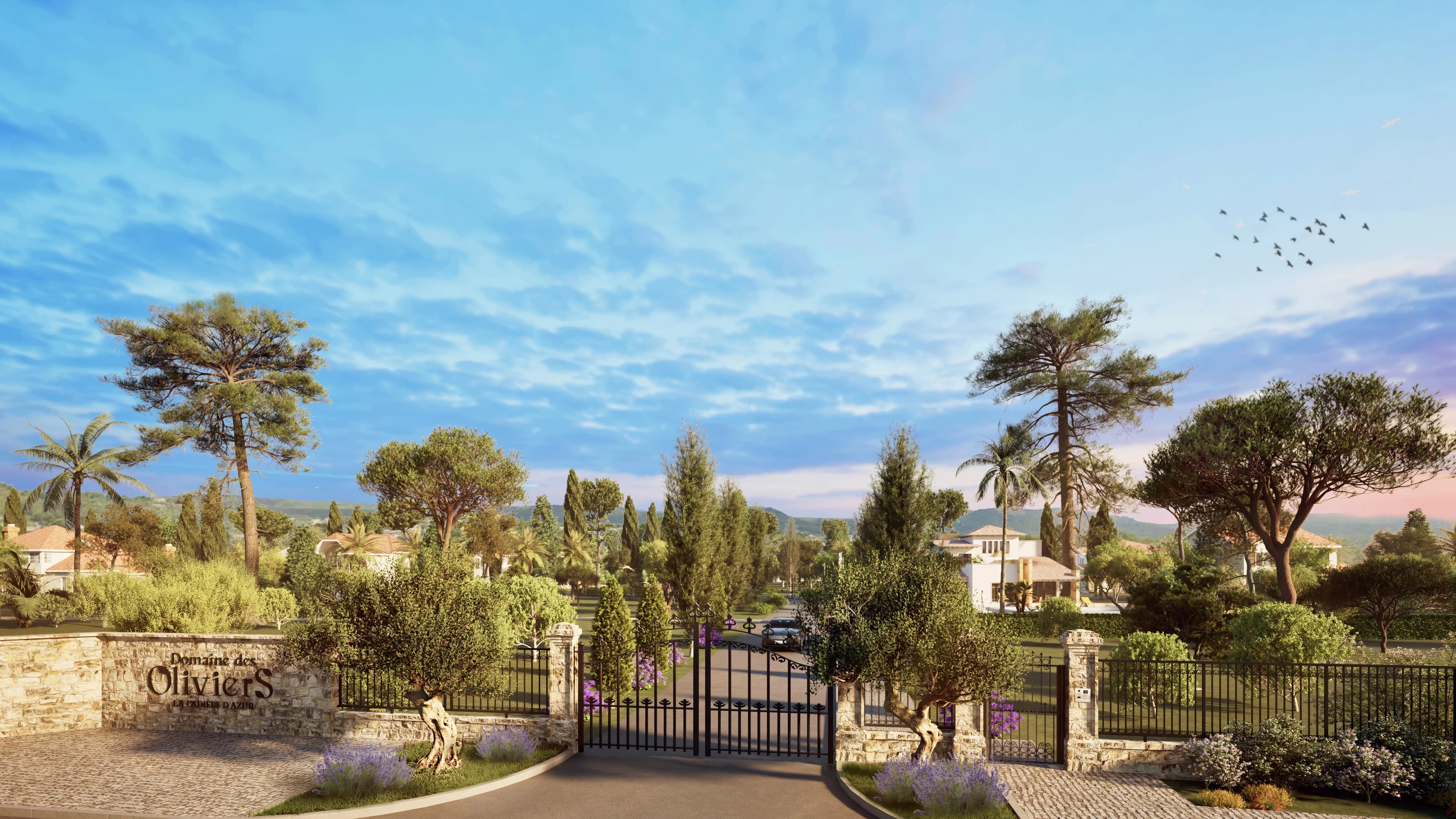 domaine_des_oliviers_image.jpg