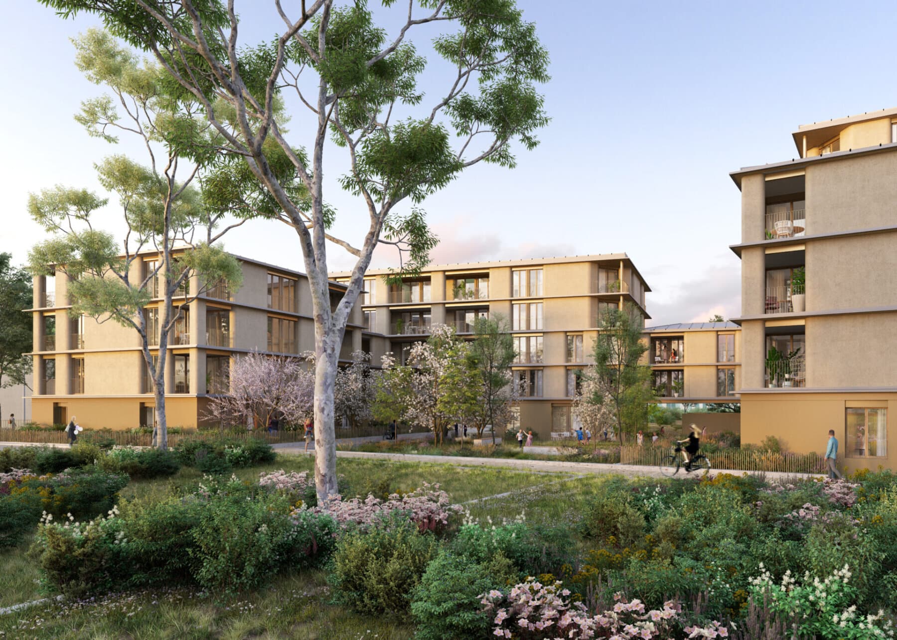 matera_image.jpg