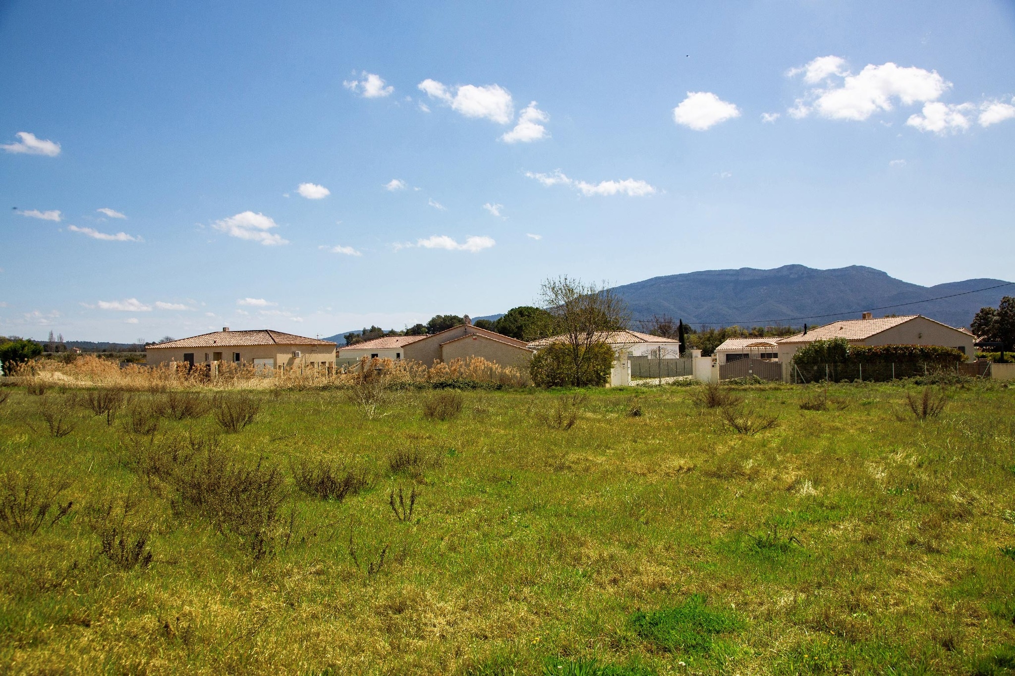 le_millesime_terrains_a_batir_gallery_1.jpg