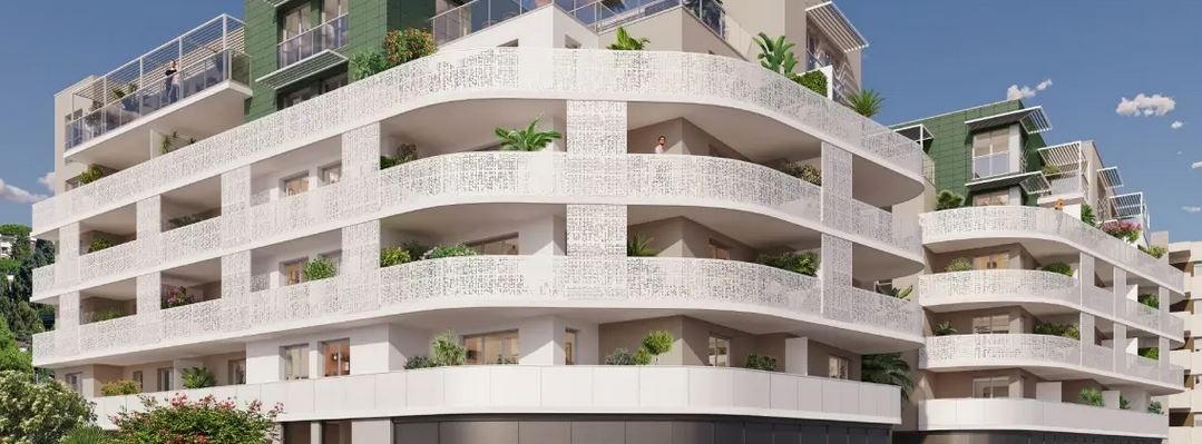 palm_square_gallery_0.jpg