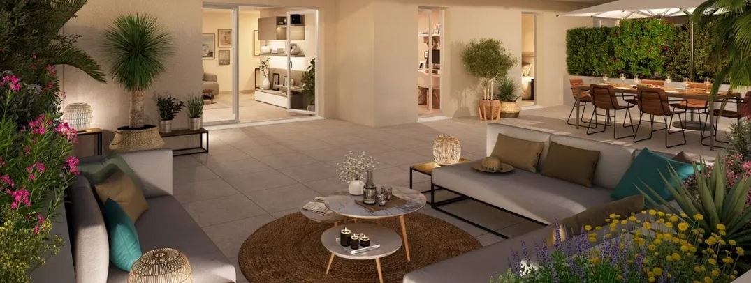 palm_square_gallery_1.jpg
